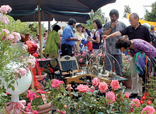 Besucher auf dem Rosenmarkt
