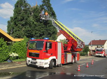 Der Blitz schlug in die Baukrone und zerfetzte den Baum.JPG