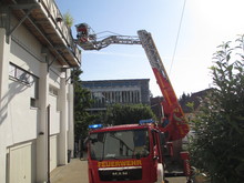 Menschenrettung in Bodelshausen