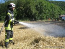 Mit 2 C-Rohren und Feuerpatschen wurde das Feuer gelöscht.