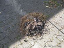 Von den Kaffeebohnen blieb nur ein Häufchen Asche übrig.