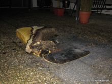 Trotz der Löschversuche am Vorabend, hatte die Matratze in der Nacht wieder zu brennen begonnen.